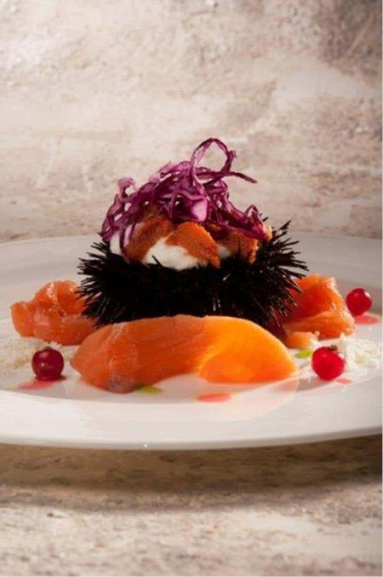 Ricci di mare, spuma di cavolfiore, salmone affumicato al legno di ciliegio e aceto di ribes